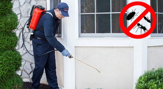 Cumayeri Kene İlaçlama böcek ilaçlama ve haşere kontrolü — ilaclama-tr.com